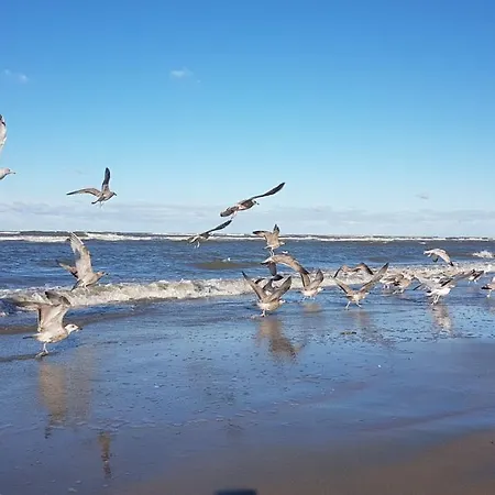 Sunset Zandvoort